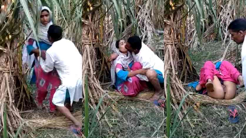 Village jungle indian sex XXX video – homemade clip